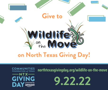 NTGD 2022 WOTM Give To Logo.png